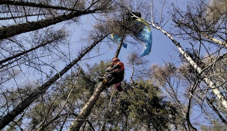 Paraglidista uvízl na stromě u Milenova, sundávali ho hasiči. Vyvázl bez zranění