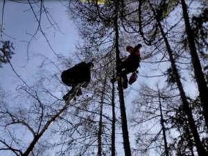Paraglidista uvízl na stromě u Milenova. Muž vyvázl bez zranění