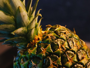 Recidivista ukradl květináč s ananasem. Majitelka ho pronásledovala v ulicích Přerova