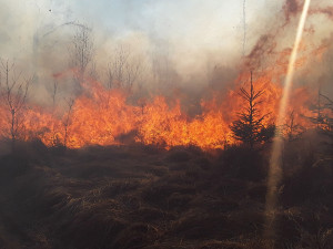 FOTOGALERIE: U lesního požáru u Jívové bojovalo s plameny sedmdesát hasičů i vrtulník