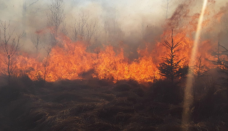 Lesní požár u Jívové: s plameny bojuje patnáct jednotek hasičů i vrtulník
