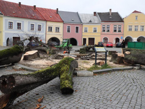 Šest staletých líp na přerovském Horním náměstí pokáceli pracovníci odborné firmy