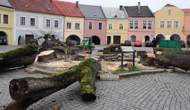 Šest staletých líp na přerovském Horním náměstí pokáceli pracovníci odborné firmy