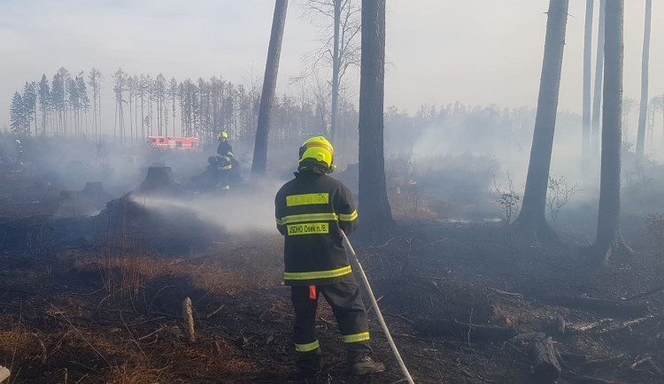 VIDEO: U Kozlova plameny zasáhly pět hektarů lesa. Na místě bylo patnáct jednotek hasičů