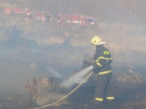 U Kozlova hoří pět hektarů lesa. Na místě je patnáct jednotek hasičů