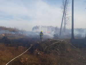 U Kozlova hoří pět hektarů lesa. Na místě je patnáct jednotek hasičů