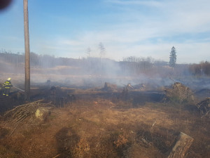U Kozlova hoří pět hektarů lesa. Na místě je patnáct jednotek hasičů