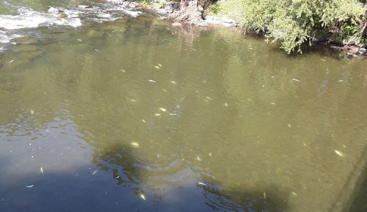 K otravě řeky Bečvy došlo v září 2020 - ilustrační foto