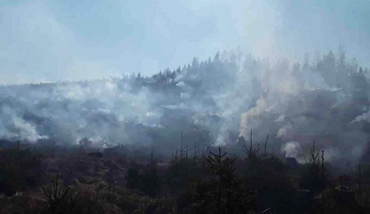 Lesní požáry dál zaměstnávají hasiče v kraji. Jednotky bojují s plameny ve vojenském prostoru Libavá