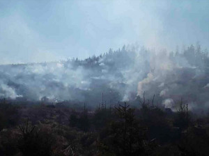 Lesní požáry dál zaměstnávají hasiče v kraji. Jednotky bojují s plameny ve vojenském prostoru Libavá