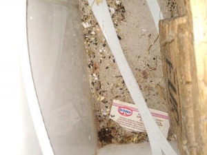 Nános špíny na nožích i myší trus ve skladu. Inspekce zavřela olomouckou restauraci