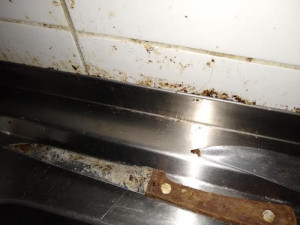 Nános špíny na nožích i myší trus ve skladu. Inspekce zavřela olomouckou restauraci