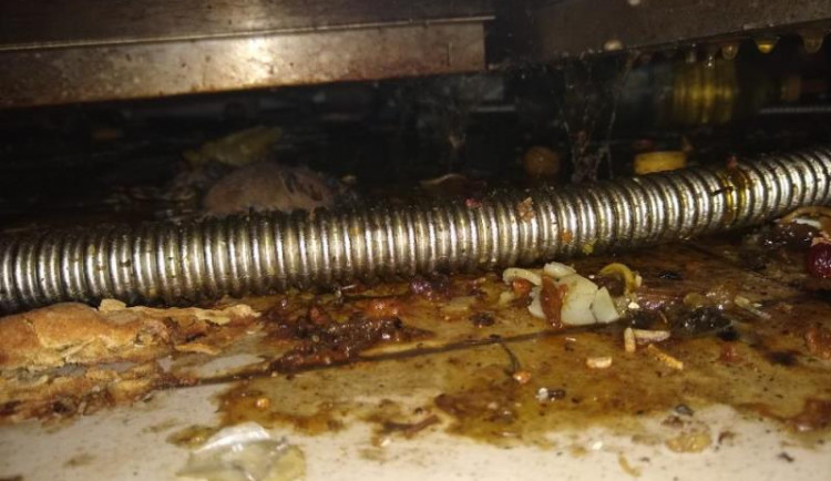 Inspektoři SZPI odhalili v restauraci řadu prohřešků proti hygieně