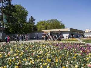 Výstava Flora Olomouc
