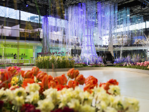 Výstava Flora Olomouc