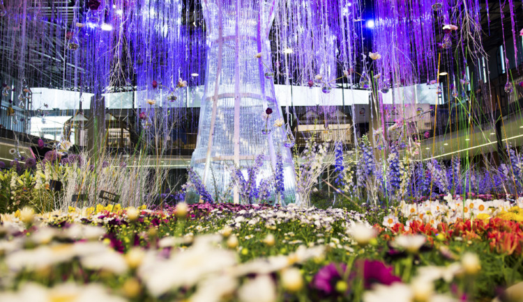 Výstava Flora Olomouc