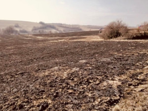 Hasiči v Olomouckém kraji v posledních dnech často likvidují požáry porostu
