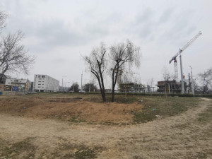 Zaneřáděný pás blízko Šantovky se promění v nový park. Olomouc už má studii a řeší pozemky