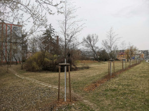 Zaneřáděný pás blízko Šantovky se promění v nový park. Olomouc už má studii a řeší pozemky