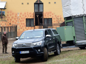 Do olomoucké zoo přijel nový žirafí samec. Michal pochází z polské Opole
