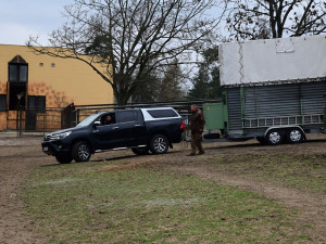 Do olomoucké zoo přijel nový žirafí samec. Michal pochází z polské Opole