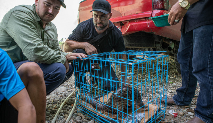 Pašeráka zvířat pomohli dopadnout čeští ochranáři. Zooložka z olomoucké zoo vše zdokumentovala