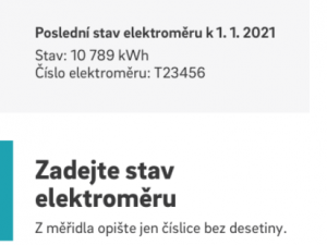 Pandemie covidu urychlila digitalizaci, říká vedoucí týmu Digital společnosti E.ON