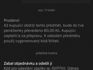 Policie varuje před prodejem zboží na internetu. V poslední době podvodů přibývá