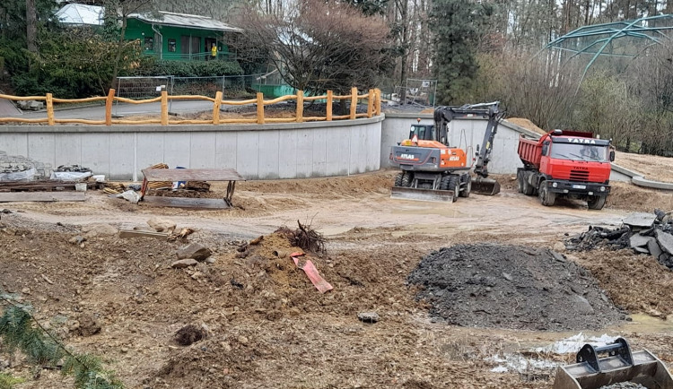Olomoucká zoo zprovozní poslední dvě části safari. Návštěvníci zavítají do Austrálie a Arktidy
