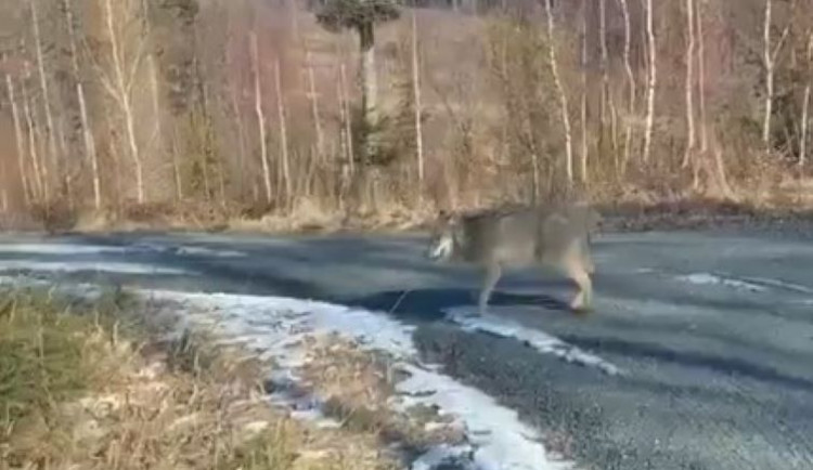 Snímek obrazovky 2022-04-12 102501