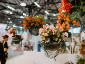 Jarní Flora Olomouc chystá unikátní expozici. Letní etapa výstavy letos neproběhne