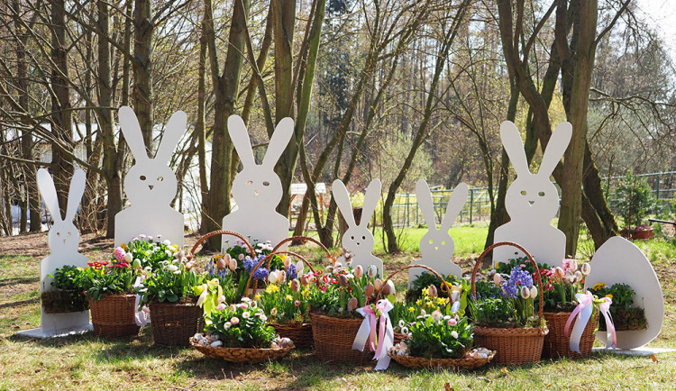 Olomoucká zoologická zahrada zve návštěvníky na velikonoční program i komentované krmení zvířat