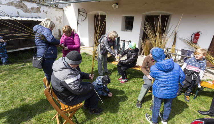 Pletení pomlázky v Hanáckém muzeu v Příkazích u Olomouce