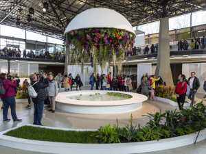 FOTOGALERIE: Jarní Flora láká davy od prvního dne. Na působivé bonsaje, koloběh života i zahradnické trhy