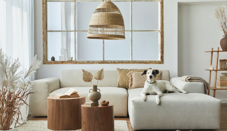 Copyright (c) 2021 Followtheflow/Shutterstock.  No use without permission.