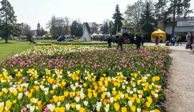 Jarní etapa výstavy Flora Olomouc 2022