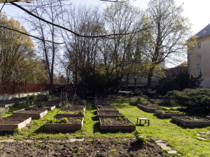 Dojem je velkolepý, těší obnova letního kina jeho provozovatelku. O areál se stará od devatenácti