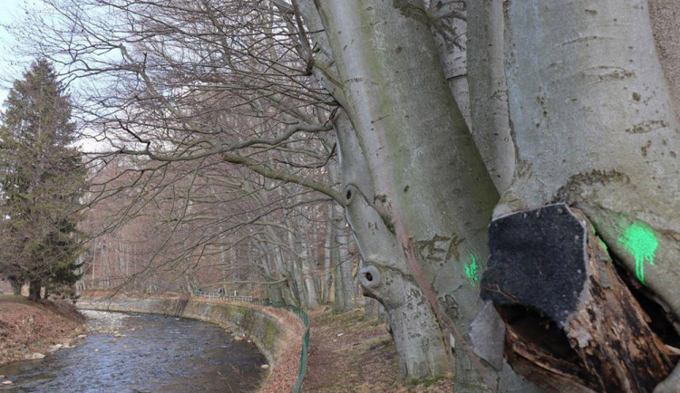 Alej nářků u řeky Bělé v Jeseníku