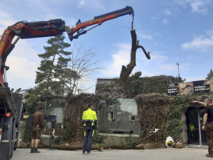 Dvoutunová škrabadla pro exotické kočky. Šelmy v olomoucké zoo dostaly nové kmeny