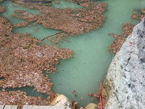 Jeskyňáři chtějí letos dokončit 3D mapu Hranické propasti. Zkoumají také nová vřídla