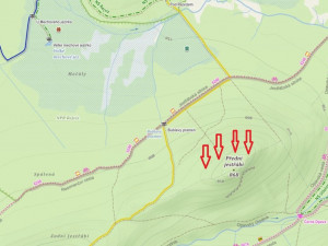 Těžaři zničily v přísně chráněných oblastech Jeseníků mladé stromky. V ropných klužích nepřežila vajíčka žab