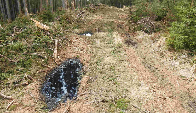 279708720_2059104390950172_7469210363562604039_n