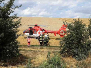 Policie stíhá strojvůdce lokomotivy, která se v Němčicích nad Hanou srazila s vlakem. V případu je řada pochybení