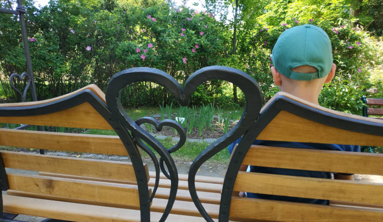 FOTOGALERIE: Botanická zahrada v Prostějově je kvetoucí oázou klidu. Má i lavičku zamilovaných