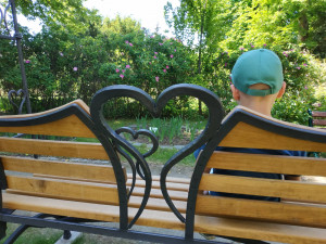 FOTOGALERIE: Botanická zahrada v Prostějově je kvetoucí oázou klidu. Má i lavičku zamilovaných