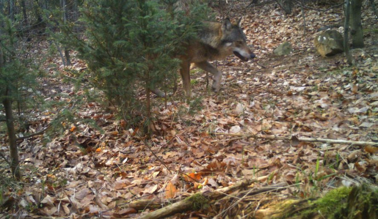 282564907_5283435025040532_2362915077565484921_n