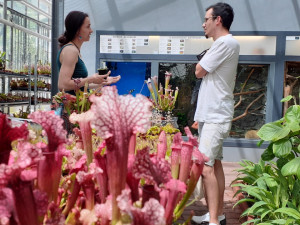 Výstava Živé pasti představí unikátní vzácné druhy