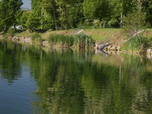 Těžařská společnost upravila přístup do bývalé pískovny, která je nyní k dispozici ke koupání