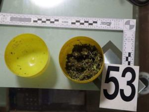 Ozbrojený dealer drog na sebe v Olomouci upozornil poznávací značkou z kusu kartronu