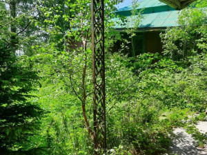 Ze zámečku u Moravského Berouna zmizely vzácné litinové podpěry. Škoda je půl milionu